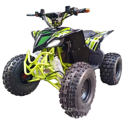Hot 750w 1000w Electric Moto Buggy Car per bambini e adulti 60v 4x4 Quad Side by Sides