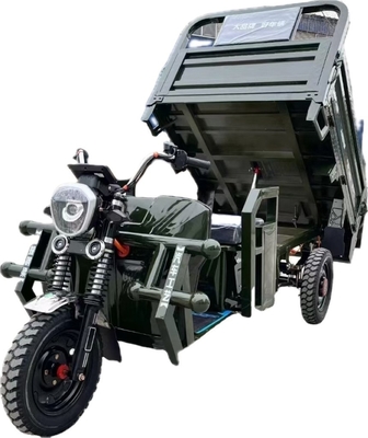 Tricicli elettrici da 1000 W Cargo Truck Autodiscaricabile 3 ruote Motocicletta per adulti