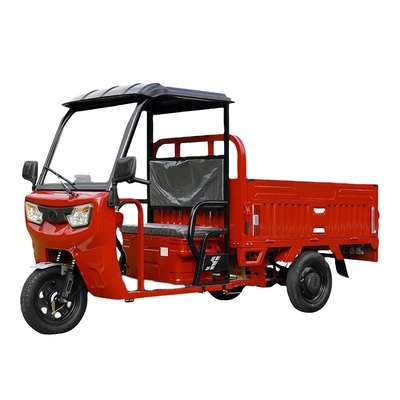 Triciclo elettrico con capannone Cargo domestico Carro da arrampicata Carro da carico Veicoli elettrici
