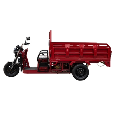 Triciclo elettrico ad alta potenza per uso domestico Cargo Bicicleta Camion Cargo Veicolo da arrampicata