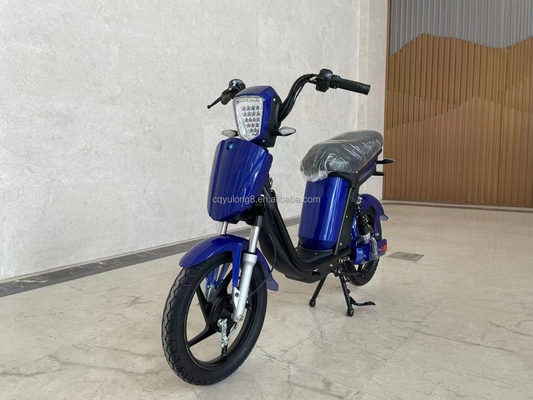 Bicicletta elettrica a display LCD personalizzato con semplice funzionalità azionata
