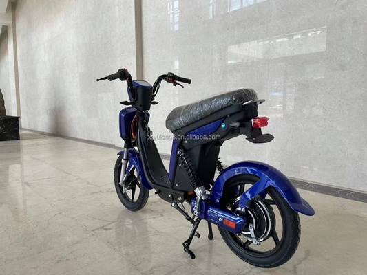 Bicicletta elettrica a display LCD personalizzato con semplice funzionalità azionata