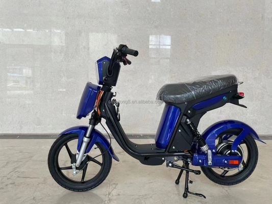 Bicicletta elettrica a display LCD personalizzato con semplice funzionalità azionata