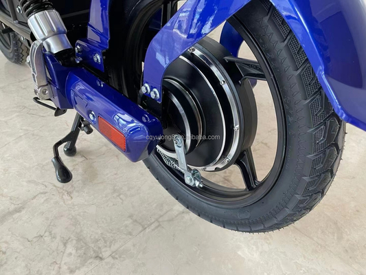 Bicicletta elettrica a display LCD personalizzato con semplice funzionalità azionata