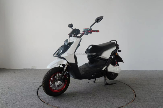 300W 500W 800W DC Brushless Motor Motocicletta elettrica con freno a disco e pneumatico da 10 pollici