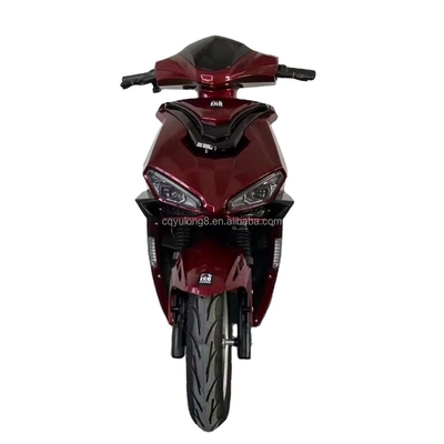 Motocicletta elettrica Bicicletta Motocicletta e scooter Tempo di ricarica personalizzato 6-8 ore