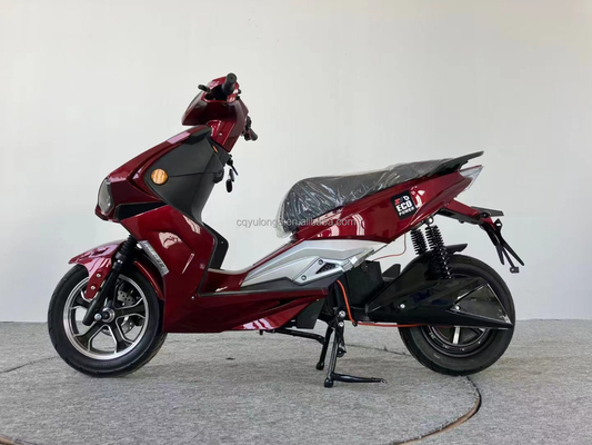 Motocicletta elettrica Bicicletta Motocicletta e scooter Tempo di ricarica personalizzato 6-8 ore
