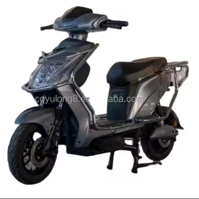 500W/1000W/1500W/2000W Motore elettrico senza spazzola per avventure fuoristrada