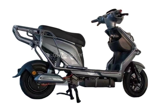 500W/1000W/1500W/2000W Motore elettrico senza spazzola per avventure fuoristrada