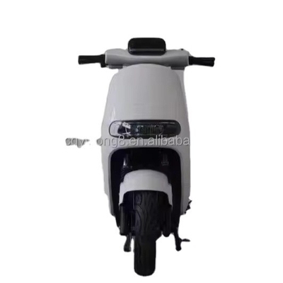 Prova la potenza e la velocità della nostra bici elettrica da 1500W/2000W per piloti adulti