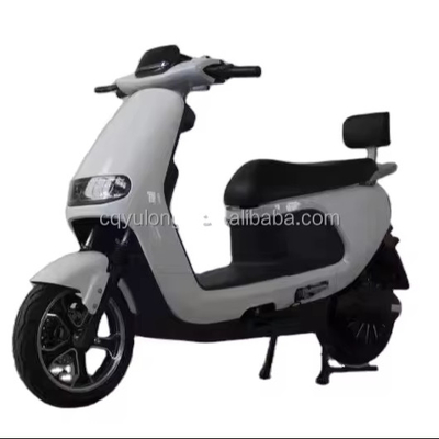 Prova la potenza e la velocità della nostra bici elettrica da 1500W/2000W per piloti adulti