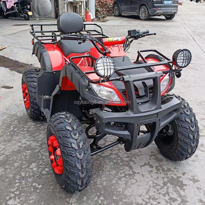 Dimensione del pneumatico di 10 pollici Logo personalizzato 200cc 250cc ATV Adulto 4 ruote UTV Off-Road Quad Bike