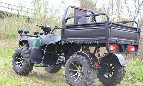 4x4 250cc 300cc 350cc Azionamento a trazione 4WD ATV con rimorchio Peso 200-300kg Personalizzabile