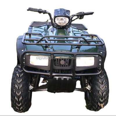4x4 Buggy Motor ATV UTV 200cc per adulti Tipo trasmissione automatica Velocità massima 80km/h