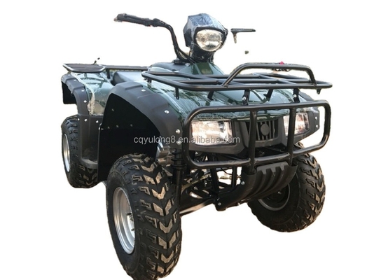 4x4 Buggy Motor ATV UTV 200cc per adulti Tipo trasmissione automatica Velocità massima 80km/h