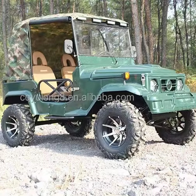 300CC 4x4 UTV Gas UTV 2 posti UTV Buggy Quad bike per adulti Velocità massima 50-75Km/h