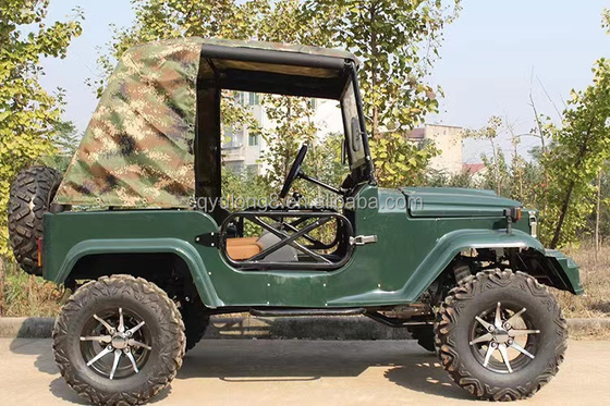300CC 4x4 UTV Gas UTV 2 posti UTV Buggy Quad bike per adulti Velocità massima 50-75Km/h