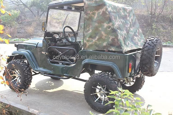 300CC 4x4 UTV Gas UTV 2 posti UTV Buggy Quad bike per adulti Velocità massima 50-75Km/h