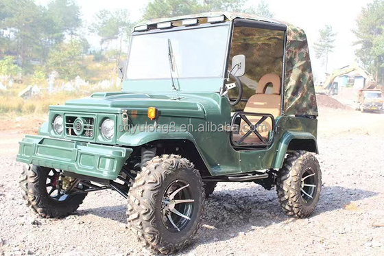 300CC 4x4 UTV Gas UTV 2 posti UTV Buggy Quad bike per adulti Velocità massima 50-75Km/h
