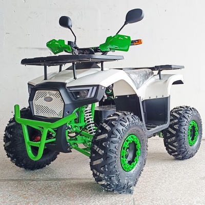 36V Mini Electric ATV Outdoor Quad per bambini e adulti 800W Aft Drive Off-Road Bike