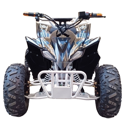 Capacità di carico 400-1000 kg Conveniente bicicletta elettrica a quattro ruote 800w Veicolo da spiaggia