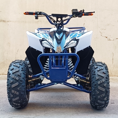 Capacità di carico 400-1000 kg Conveniente bicicletta elettrica a quattro ruote 800w Veicolo da spiaggia