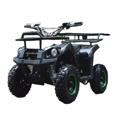 500-800W motore a trazione a fuso elettrico Mini ATV Buggy 4 ruote Quad Bike per bambini e adulti
