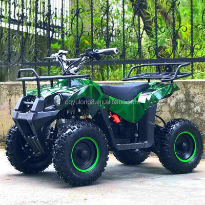 500-800W motore a trazione a fuso elettrico Mini ATV Buggy 4 ruote Quad Bike per bambini e adulti
