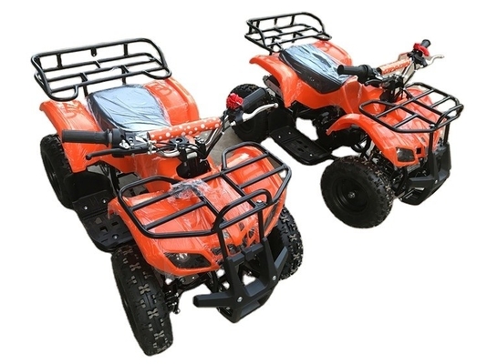 500w 36v Electric Kids Quad Bike con batteria CE e funzione ATV Velocità 30-50km/h 120kg