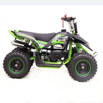 Mini ATV elettrico per bambini 36V 24V 350W 500W 800W 1000W per adulti in vari colori