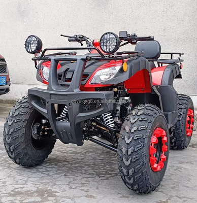 150-200mm di distanza da terra 200cc 250cc Quad Bike Buggy UTV per avventure su tutti i terreni
