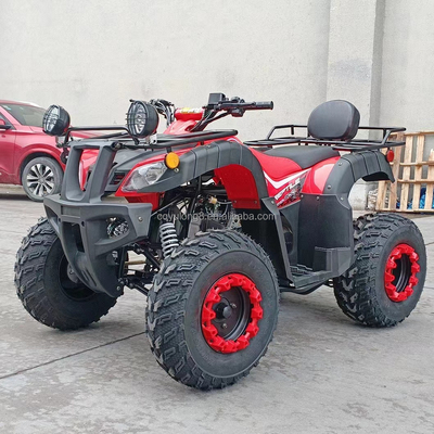 150-200mm di distanza da terra 200cc 250cc Quad Bike Buggy UTV per avventure su tutti i terreni