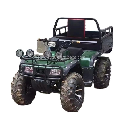 Off-road motociclo a quattro ruote carico ATV UTV con e capacità di carico utile di 100-200kg