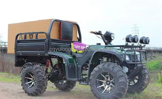 Off-road motociclo a quattro ruote carico ATV UTV con e capacità di carico utile di 100-200kg