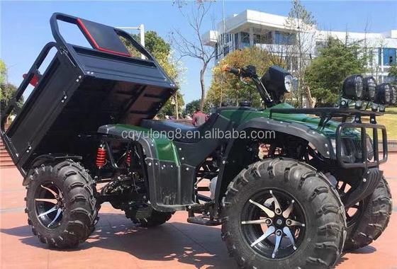 Off-road motociclo a quattro ruote carico ATV UTV con e capacità di carico utile di 100-200kg