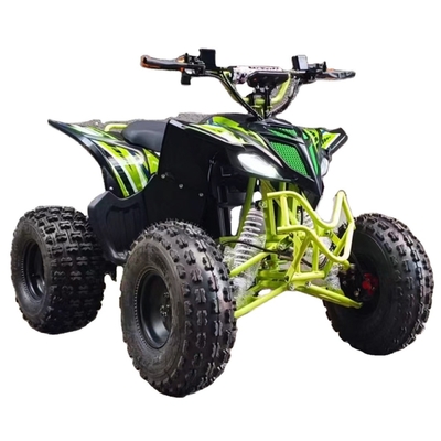 Hot 750w 1000w Electric Moto Buggy Car per bambini e adulti 60v 4x4 Quad Side by Sides