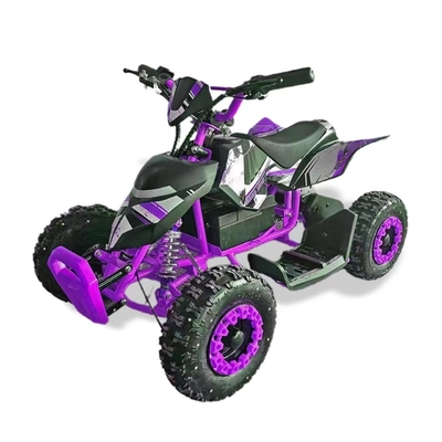 36V 500W 800W Mini Quad ATV Electric Quad Bike per bambini Adulti Torque massima Nm ≤20Nm