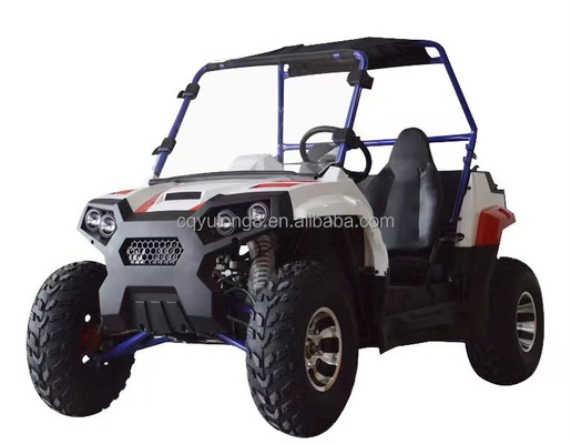 Potente 4x4 UTV elettrico 3000W 60V Side by Sides Utility Terrain Vehicle per adulti
