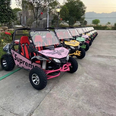 MOTO 200/250/300cc CVT UTV Dune Buggy per guida adulta Tipo commutabile 2WD/4WD MOTO