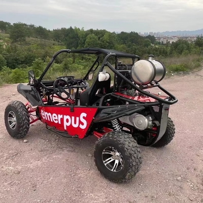 MOTO 200/250/300cc CVT UTV Dune Buggy per guida adulta Tipo commutabile 2WD/4WD MOTO