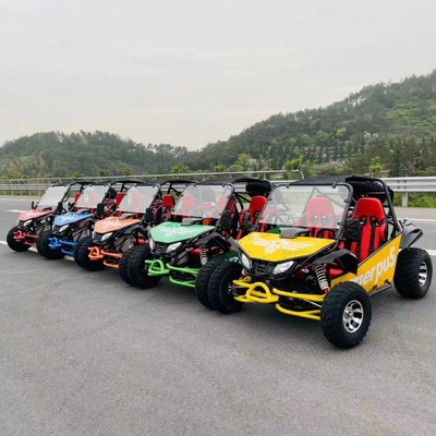 MOTO 200/250/300cc CVT UTV Dune Buggy per guida adulta Tipo commutabile 2WD/4WD MOTO