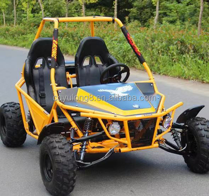 Disco anteriore Disco posteriore Sistema di freno 200cc 150cc Off Road Go Kart per adulti con sconto