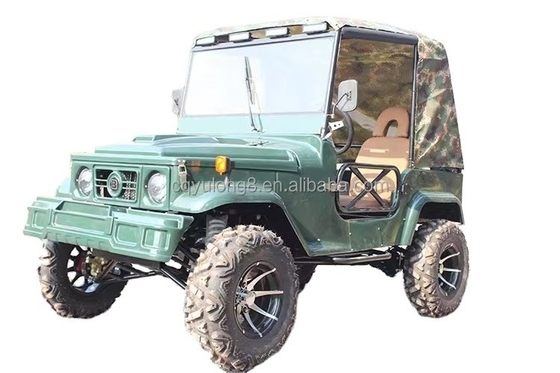 2 sedili per adulti 200cc 300cc Sistema di trasmissione a asse 2WD Quattro ruote Buggy Car UTV 4x4 Jeep