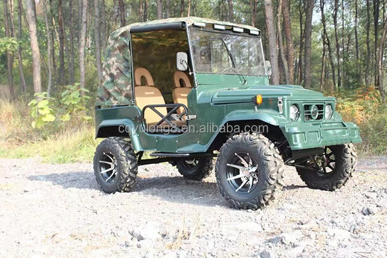 2 sedili per adulti 200cc 300cc Sistema di trasmissione a asse 2WD Quattro ruote Buggy Car UTV 4x4 Jeep