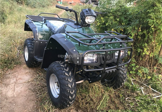 200cc 300cc 4x4 ATV UTV Off Road Quattro ruote Side by Sides Grade Ability Quad Bike
