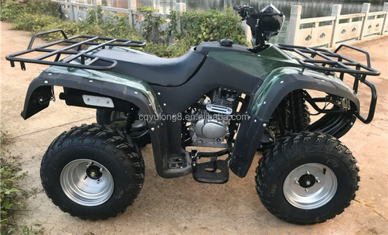 200cc 300cc 4x4 ATV UTV Off Road Quattro ruote Side by Sides Grade Ability Quad Bike