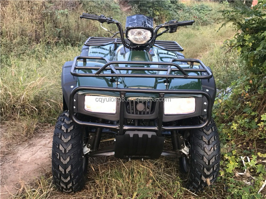 200cc 300cc 4x4 ATV UTV Off Road Quattro ruote Side by Sides Grade Ability Quad Bike