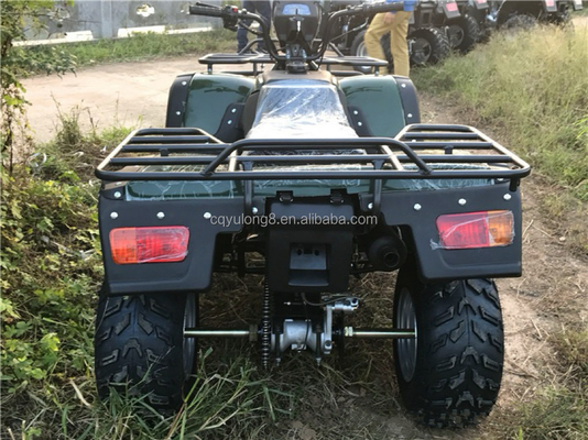 200cc 300cc 4x4 ATV UTV Off Road Quattro ruote Side by Sides Grade Ability Quad Bike