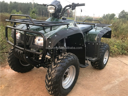 200cc 300cc 4x4 ATV UTV Off Road Quattro ruote Side by Sides Grade Ability Quad Bike