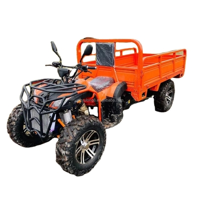 800 1000W 2 cilindri ATV raffreddato ad acqua 250CC 4X4 Off Road Buggy con secchi di carico